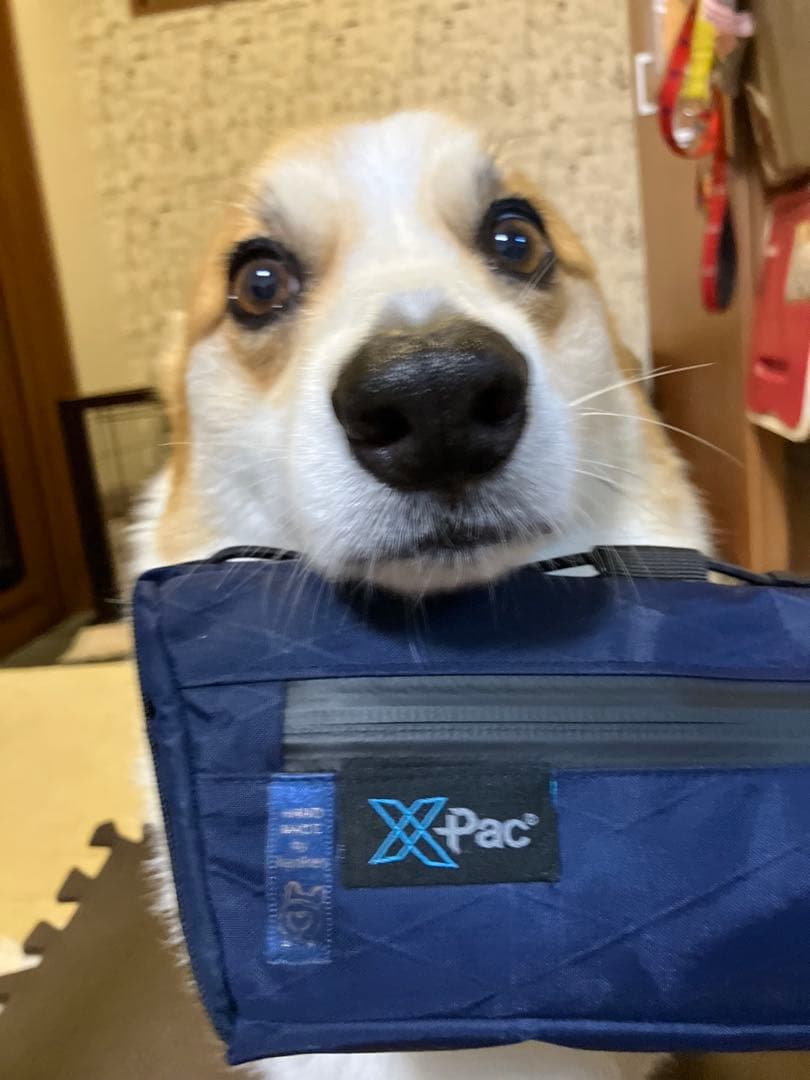 HARUハンドメイドフレームバッグ