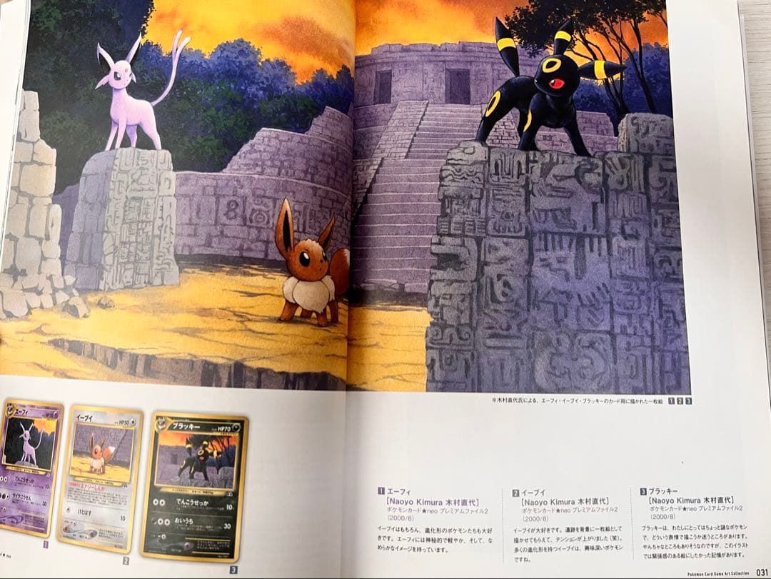 旧裏 PSA9 連番 ブラッキー エーフィ イーブイ プレミアムファイル