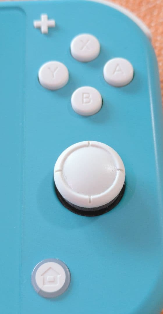 Nintendo Switch Lite グリップカバー付 (お値下げ不可)