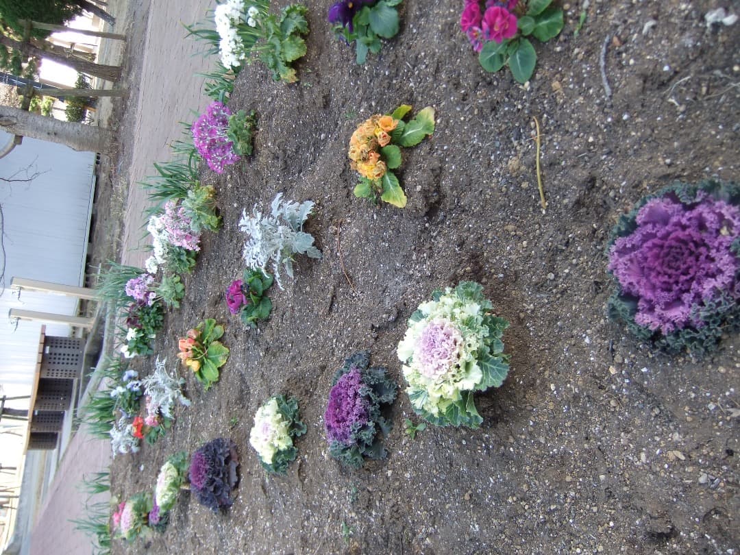 実写美⭕️美品/訳有【動作確認済】FUJIFILM FINEPIX F70EXR