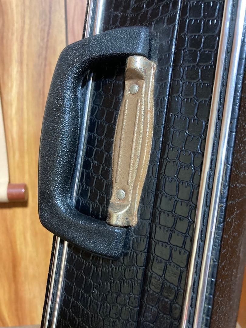 ち*ろ様 三線 本体 蛇皮 黒と金　人口革　ケース　鍵付き