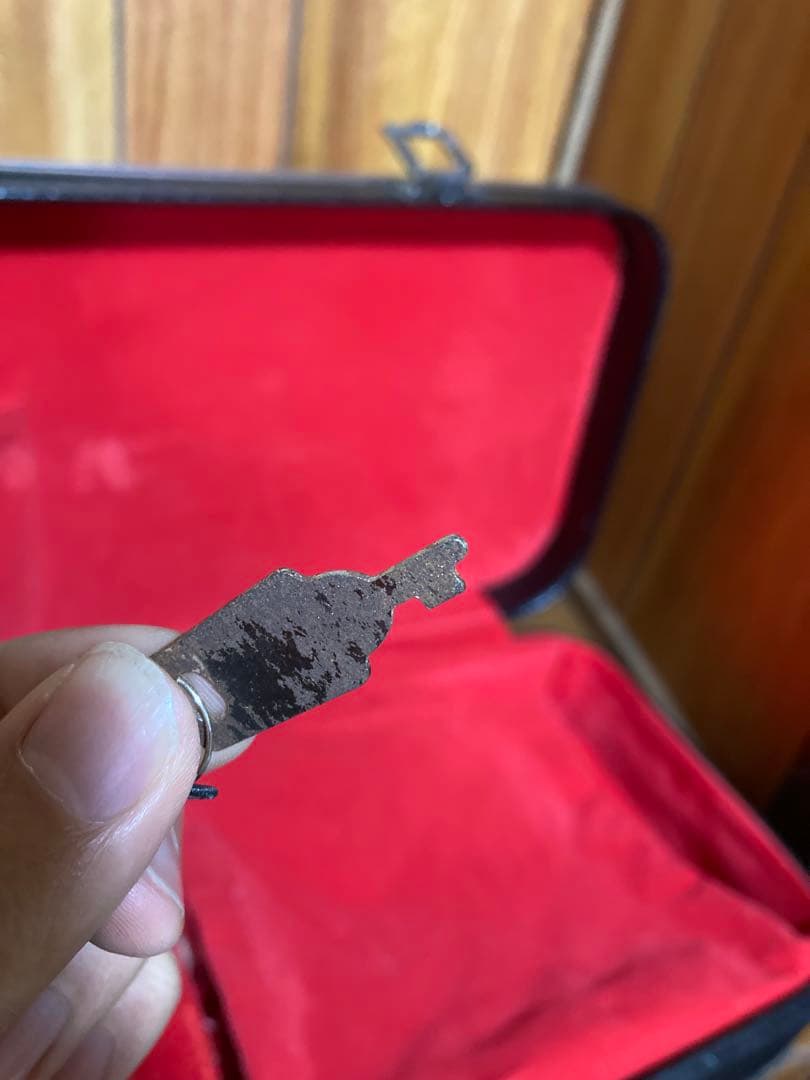 ち*ろ様 三線 本体 蛇皮 黒と金　人口革　ケース　鍵付き