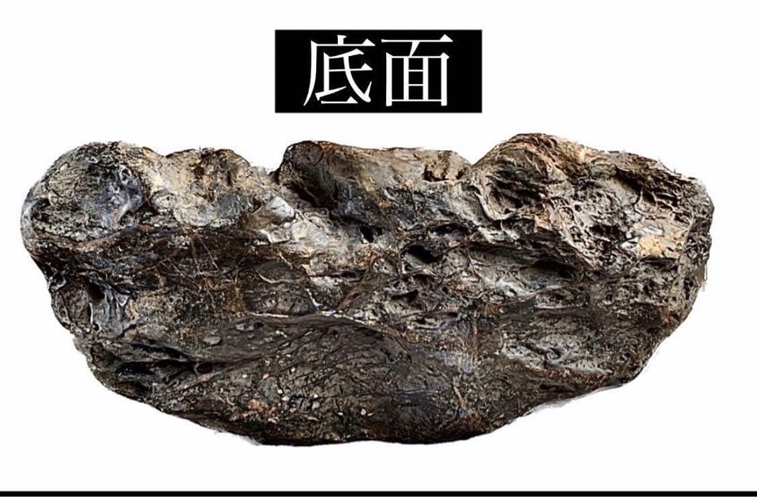 4179 天竜川大ジャグレ真黒石 天龍川石 天竜川石 ウブ 置物 自然石