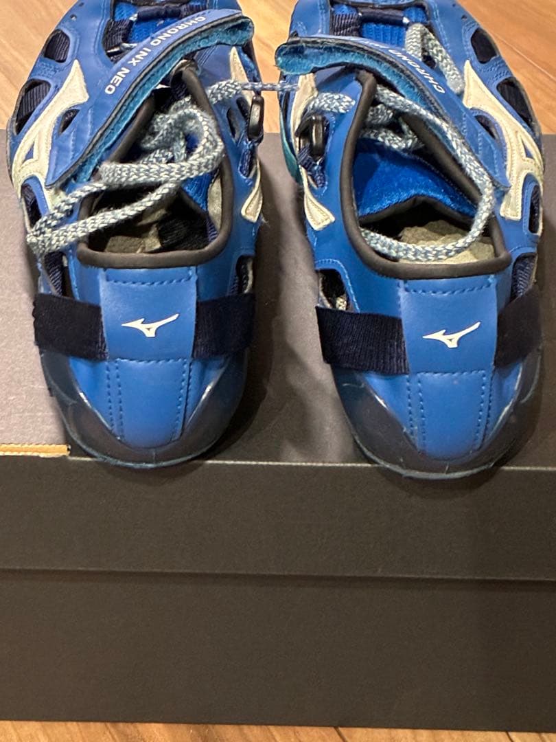 クロノインクスネオジャパン23.0㌢