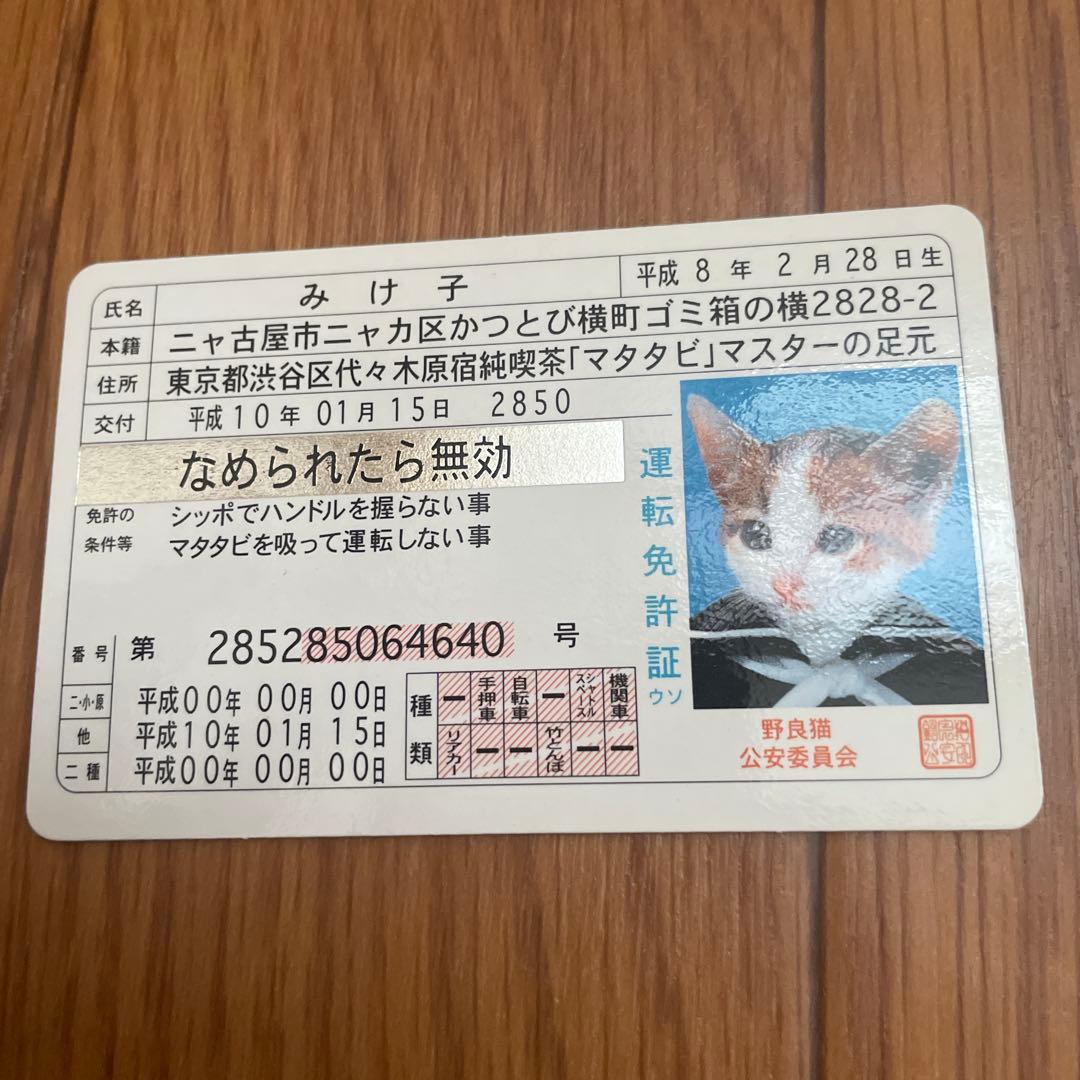 m*r様 希少 非売品 なめ猫免許証 シルバーレア みけ子 - メルカリ