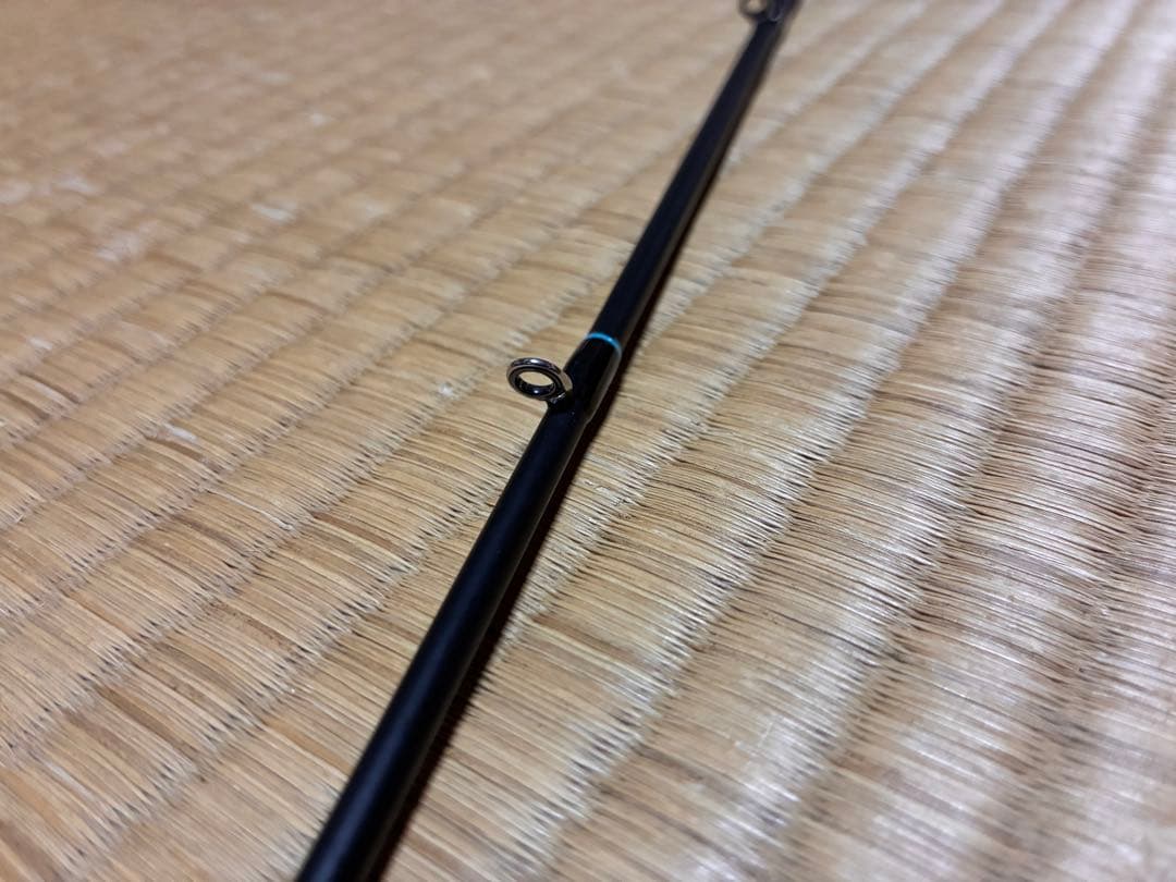 デジーノレーベン スラング バスタ 送料込