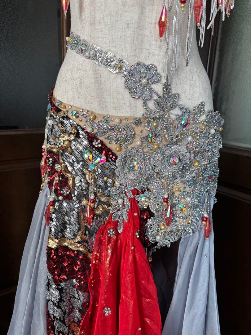 ベリーダンス衣装　hoyda ゴージャス赤系