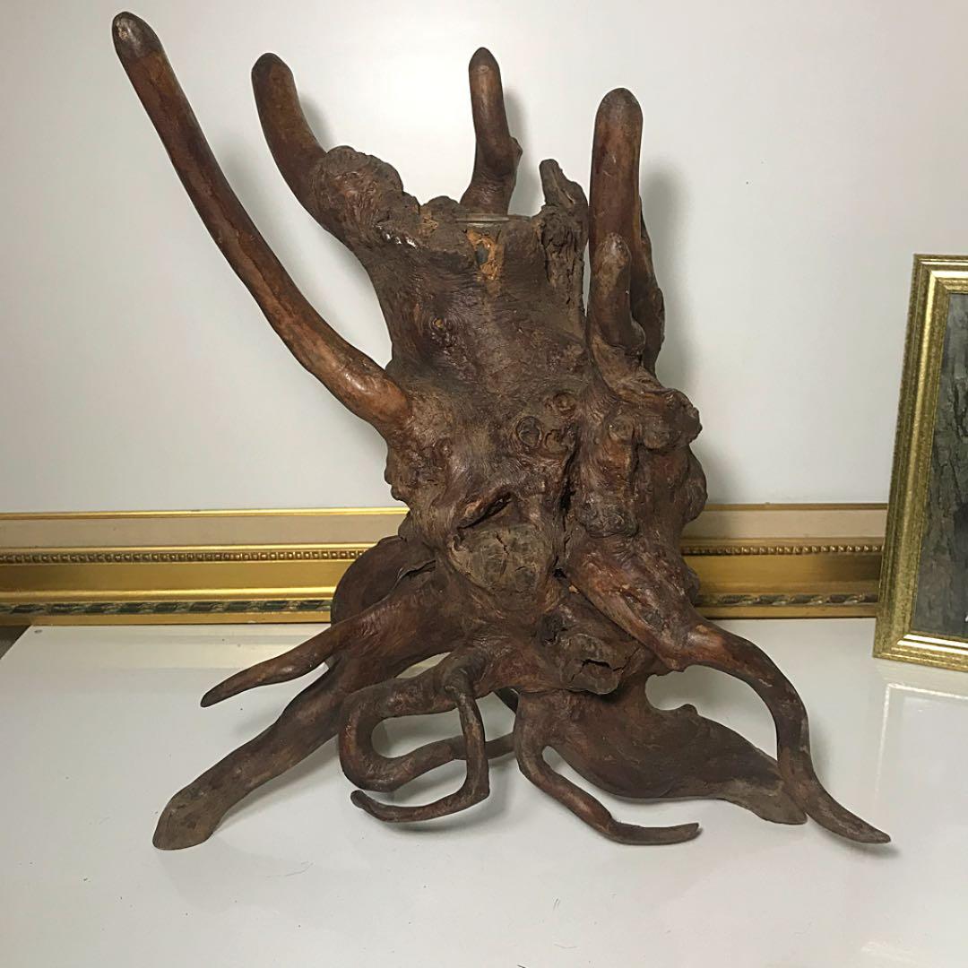 再値下 木の根 オブジェ 天然木 置物 インテリア - メルカリ