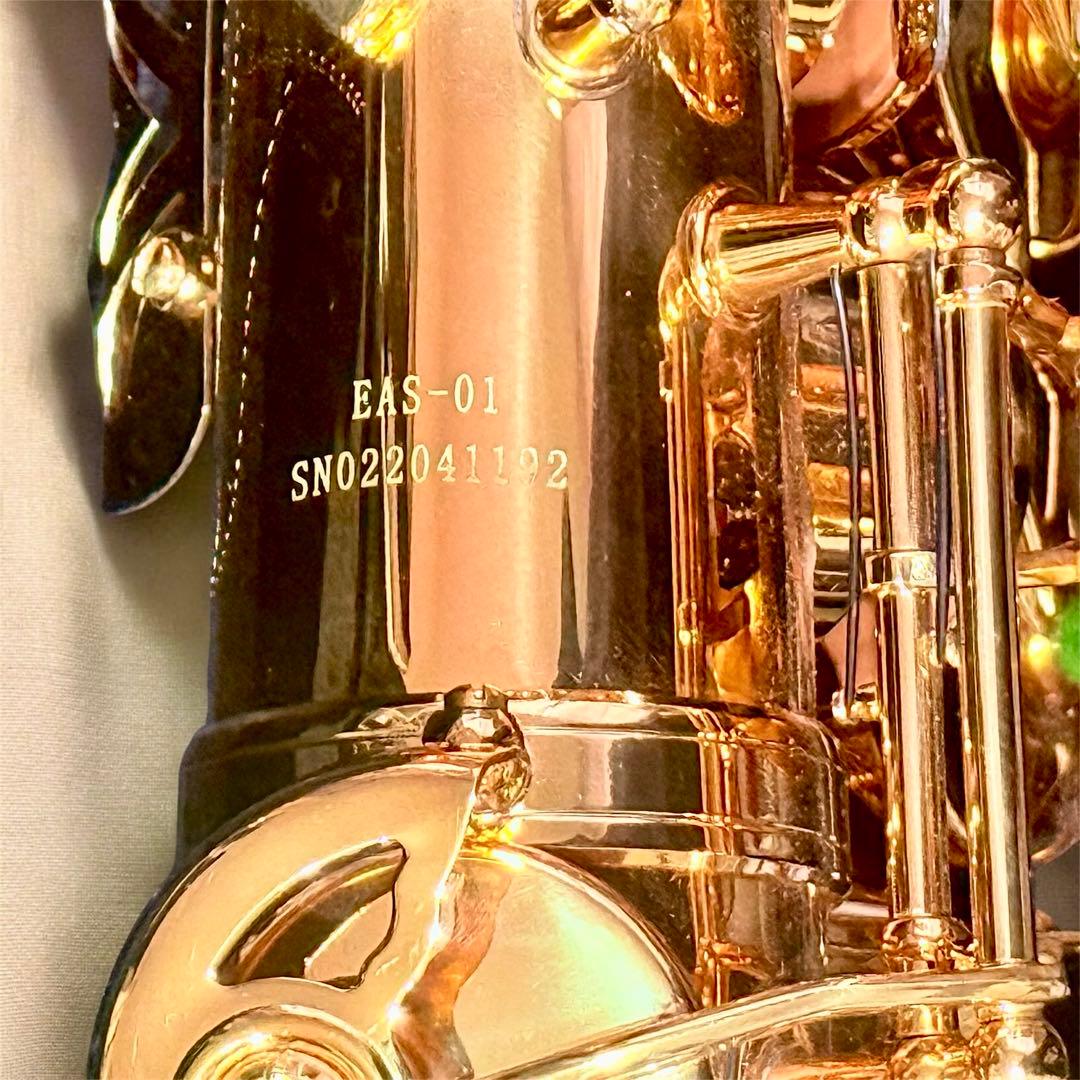 【美品】EYS アルトサックス EAS-01ケース付 YAMAHA MP付属