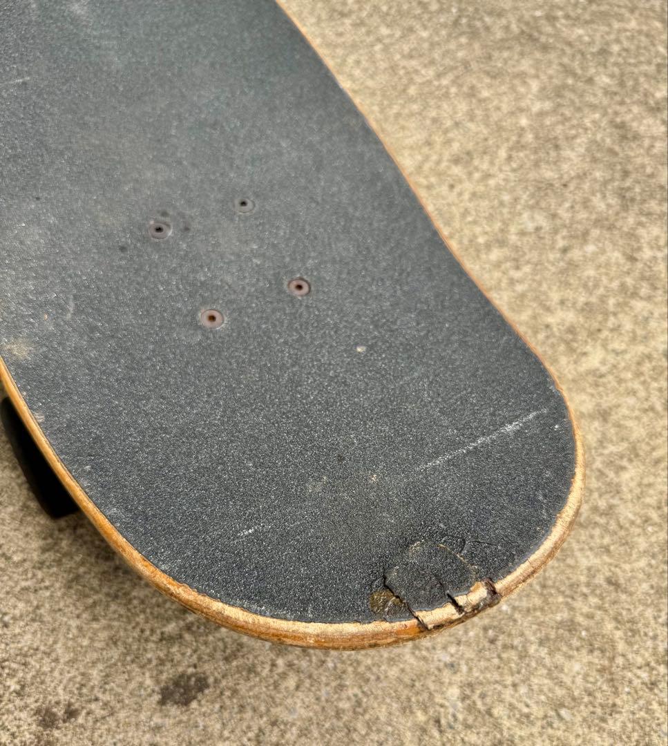 Carver Venice スケートボード コンプリート