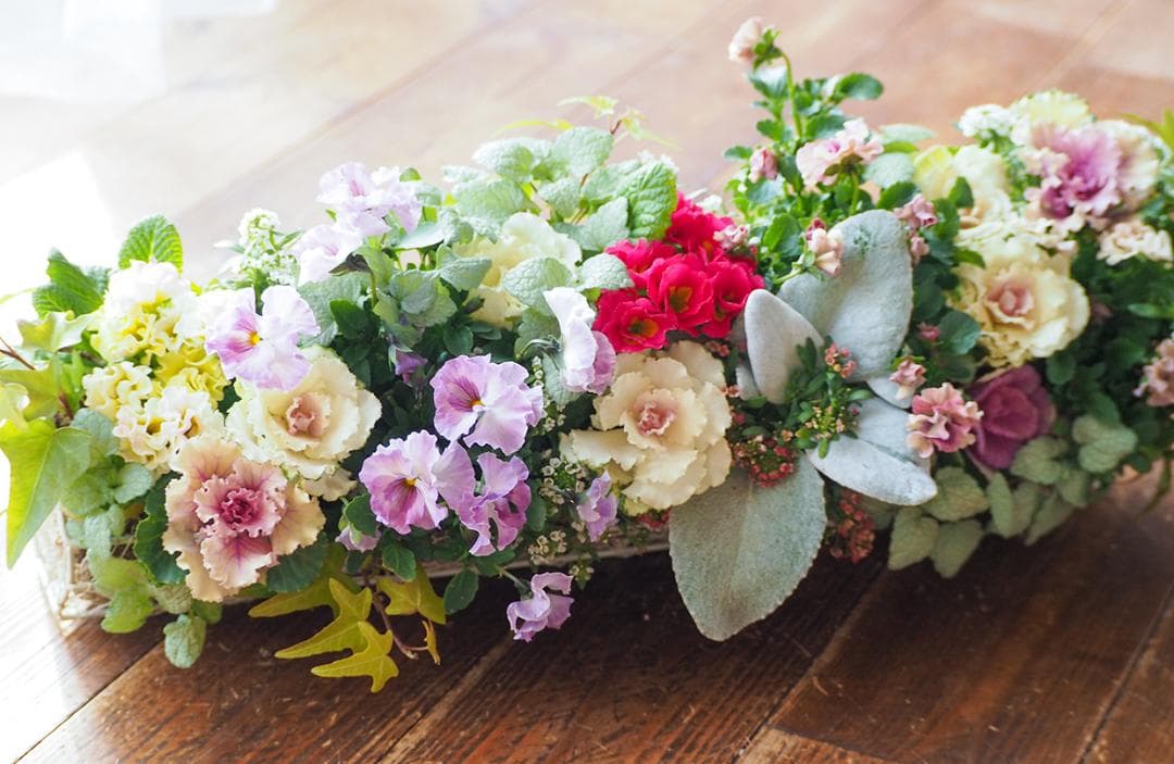 【お値引品】ビオラとジュリアンのマルチな寄せ植え