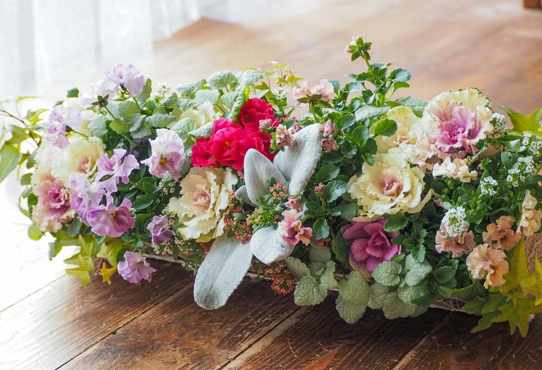 【お値引品】ビオラとジュリアンのマルチな寄せ植え