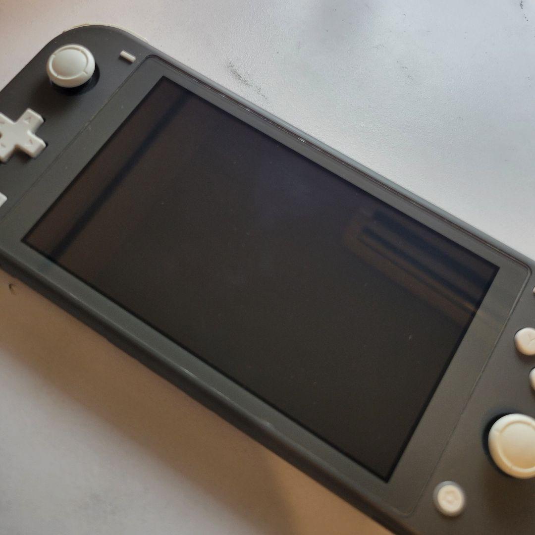 Nintendo Switch Lite 本体 グレー カバー/コンセント付き