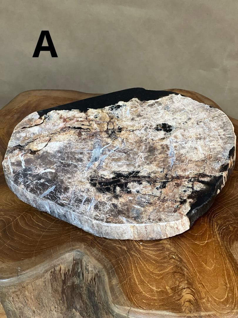 フォッシルプレート　珪化木