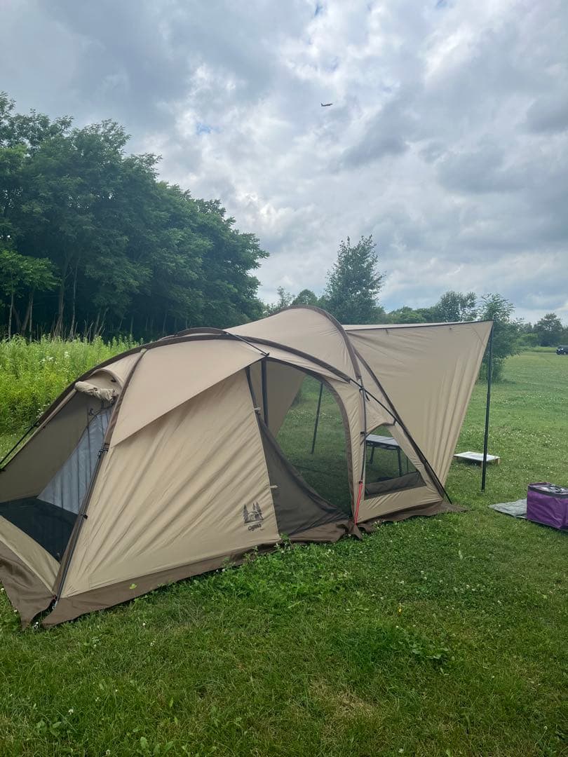 オガワ ヴィガス2