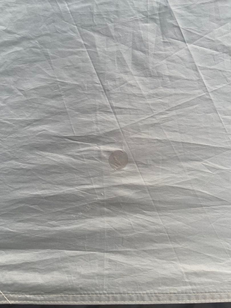 オガワ ヴィガス2