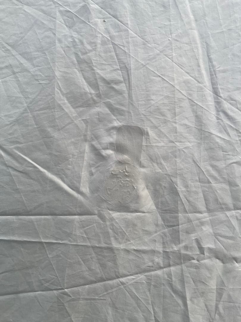 オガワ ヴィガス2