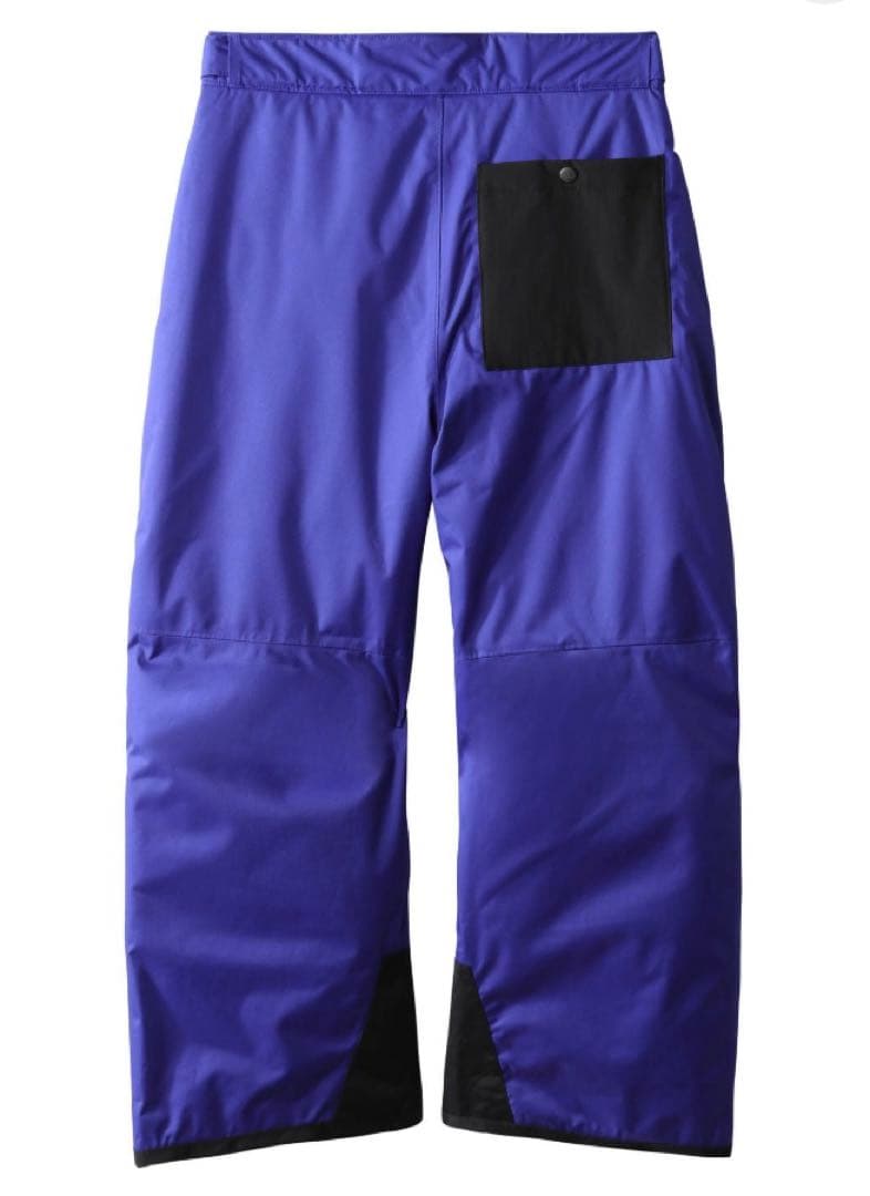 ノースフェイス スキー スノボーフリーダム インサレーテッド パンツ ボーイズ