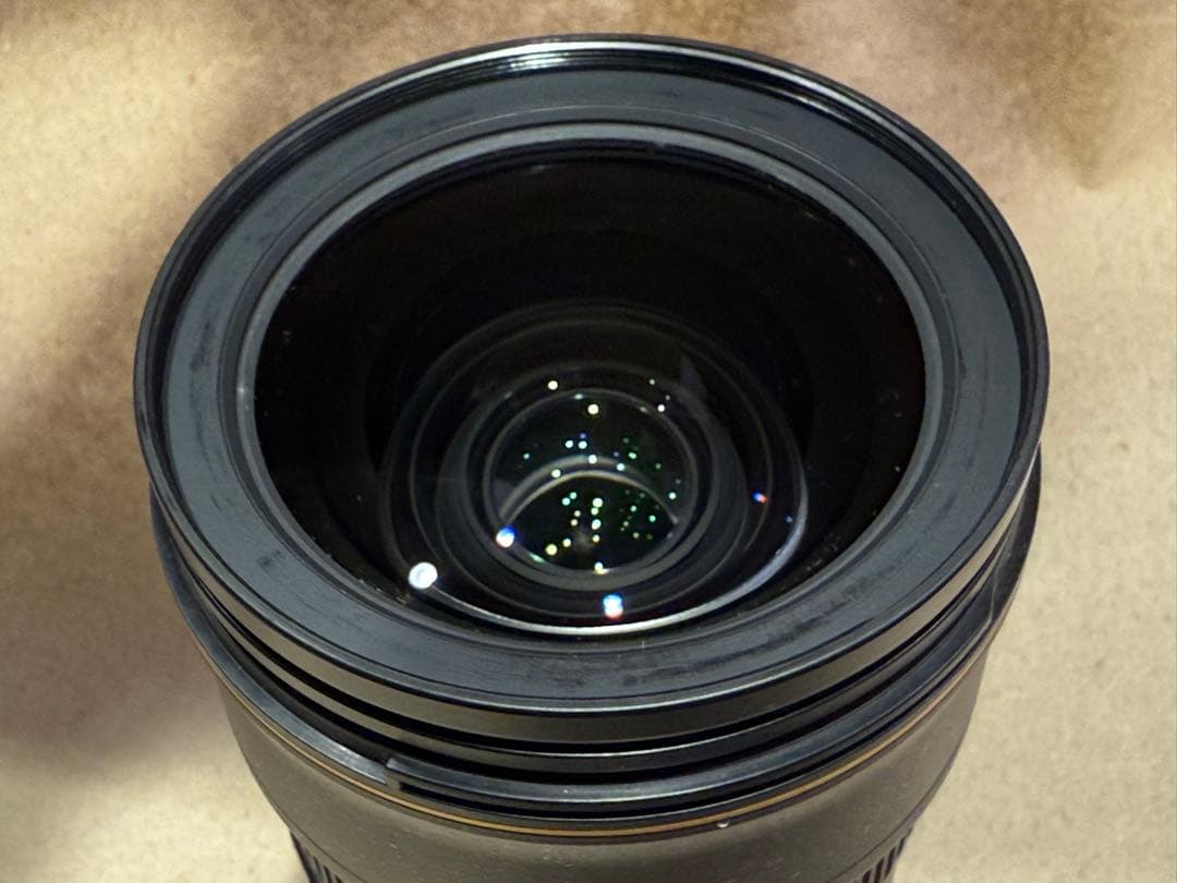 エ*ル様 Nikon AF-S NIKKOR 24-70mm f/2.8E ED