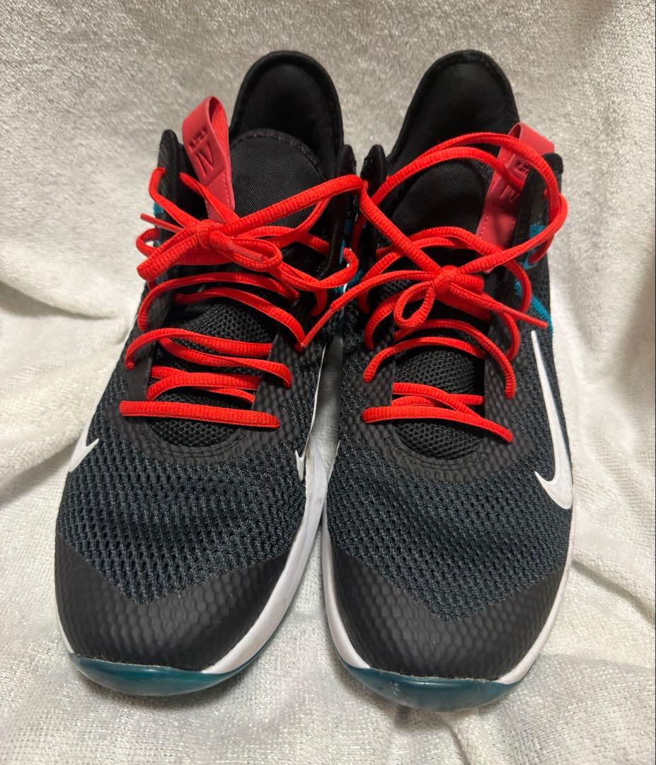 レブロン ウィットネス 5、ダンクローアリゾナ、ダンクローマイアミハリケーン