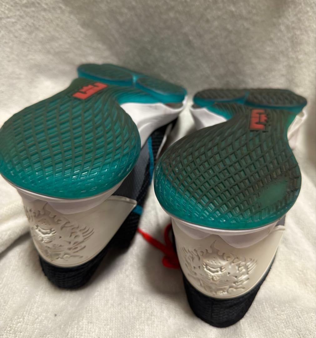 レブロン ウィットネス 5、ダンクローアリゾナ、ダンクローマイアミハリケーン