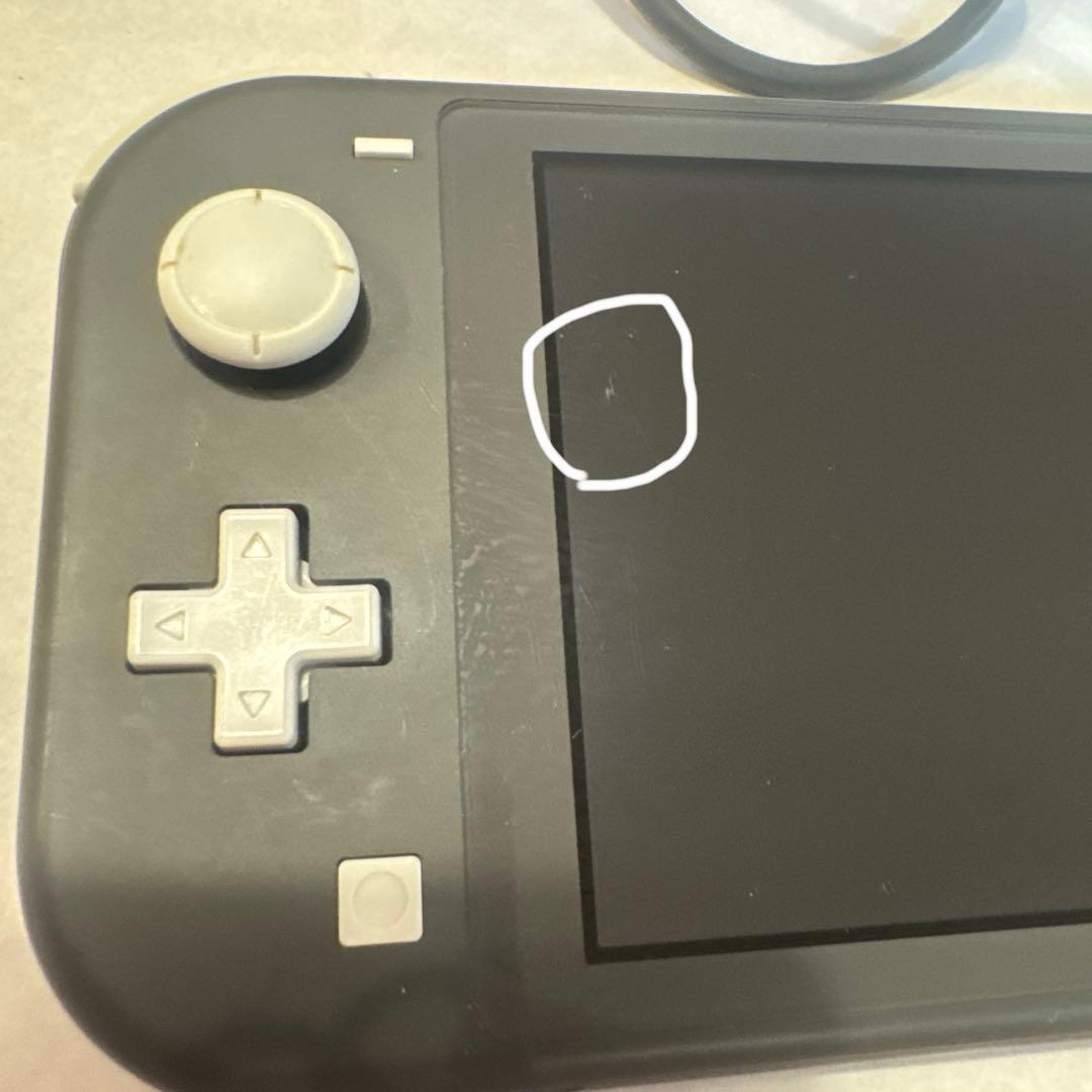 Nintendo Switch Lite グレー 本体　充電器付き