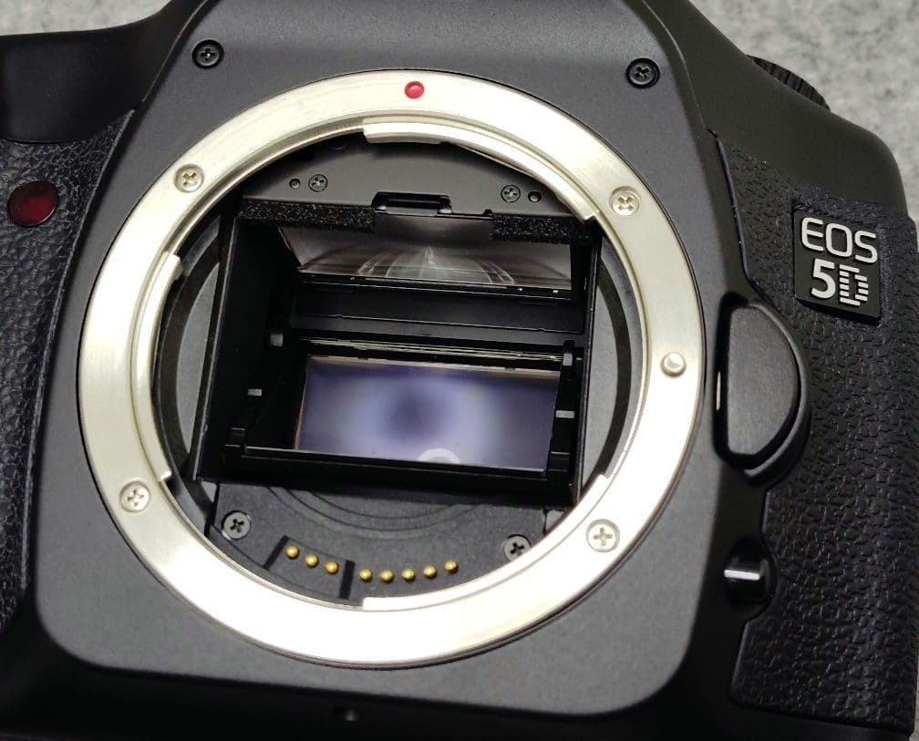 Canon EOS 5D初代 EF50mm F1.8 II付 美品