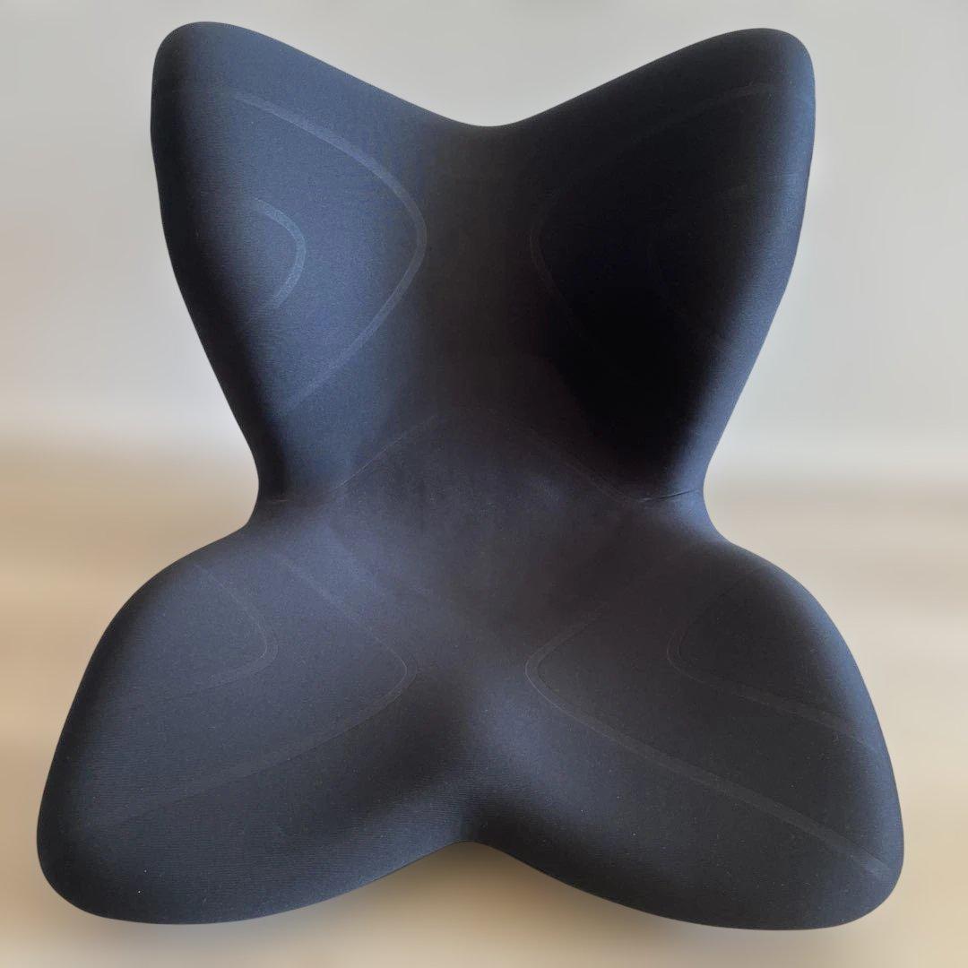 Style PREMIUM 骨盤・姿勢矯正クッション MTG