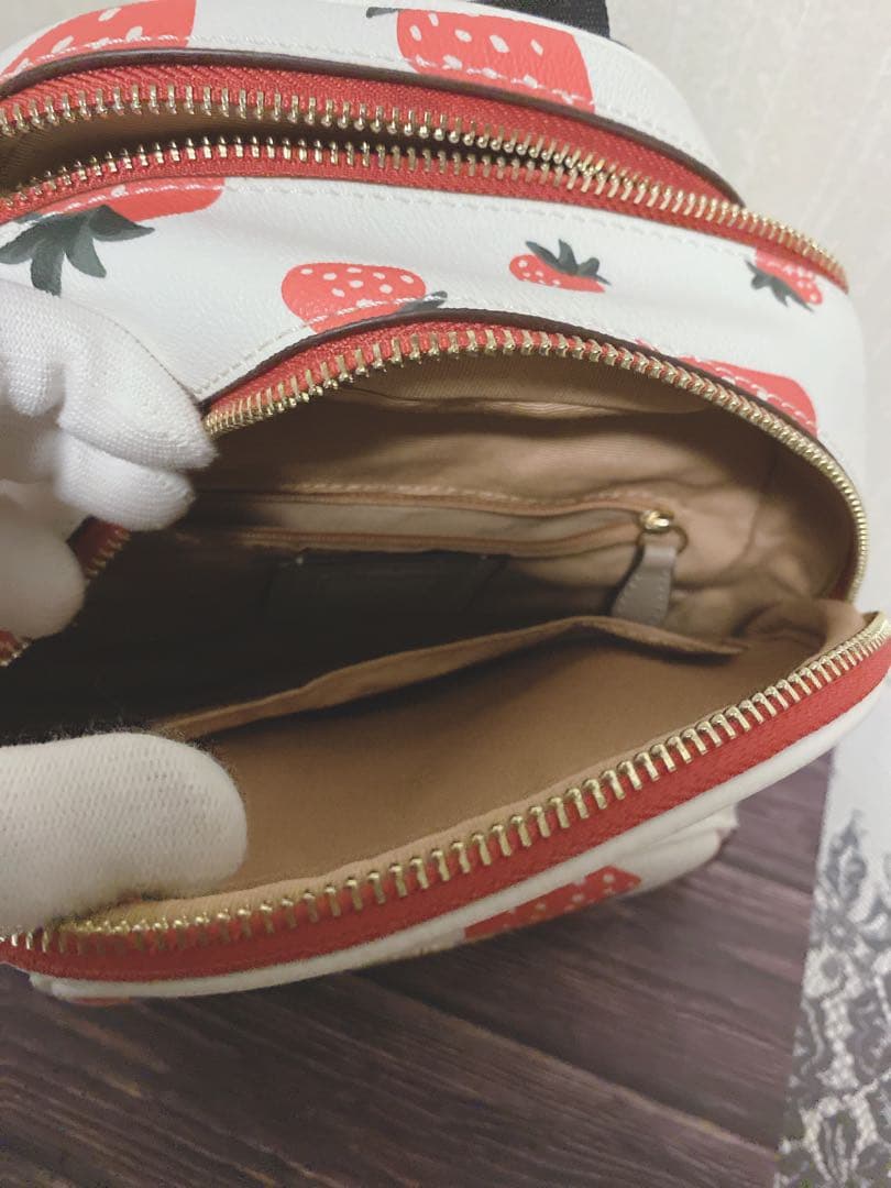 〔新品未使用〕COACH ミニリュック　ストロベリー