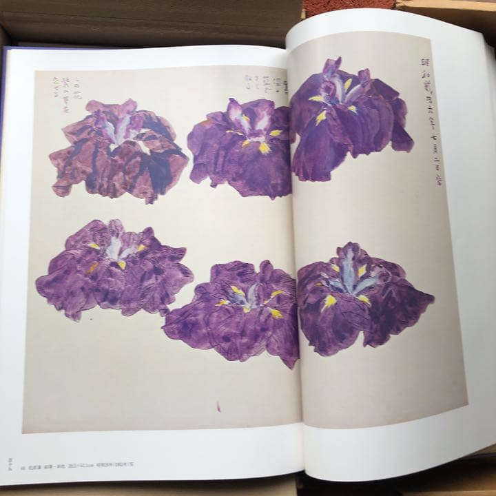 福田平八郎 作品と素描 - メルカリ