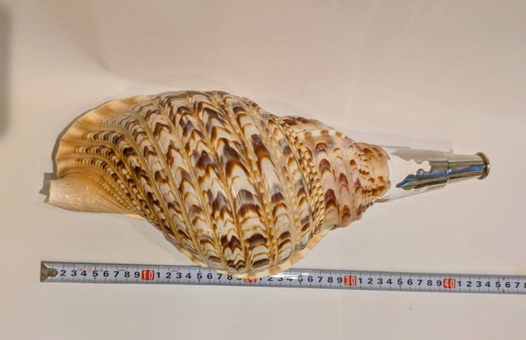 法螺貝　40.0cm 貝袋付き　1094g 48000円　山伏修験