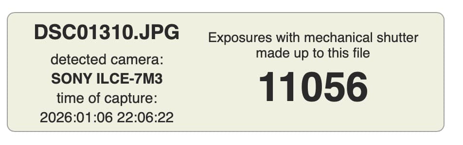 【完全セット】SONY α7III美品！11,056回/20万 すぐ撮影可能