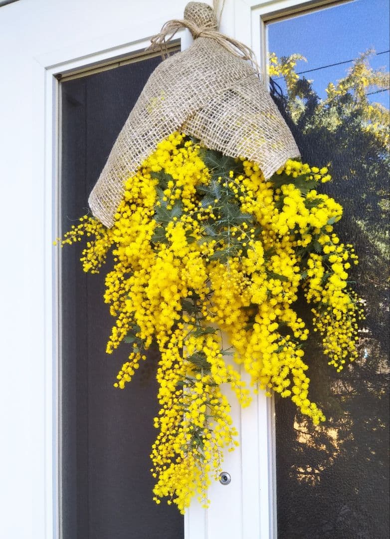 R&Bページ　☘ミモザフレッシュスワッグ・リース☘　②・③