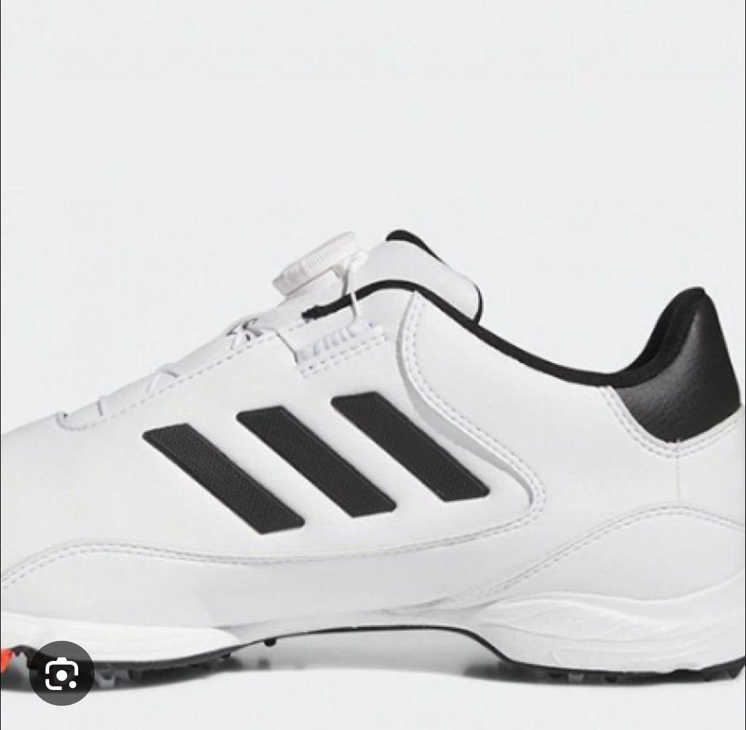 アディダス ゴルフシューズ lite Max BOA 24 26.0cm