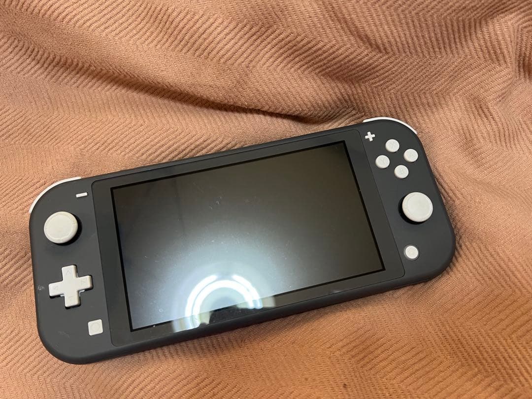 Nintendo Switch Lite ニンテンドースイッチライト　グレー