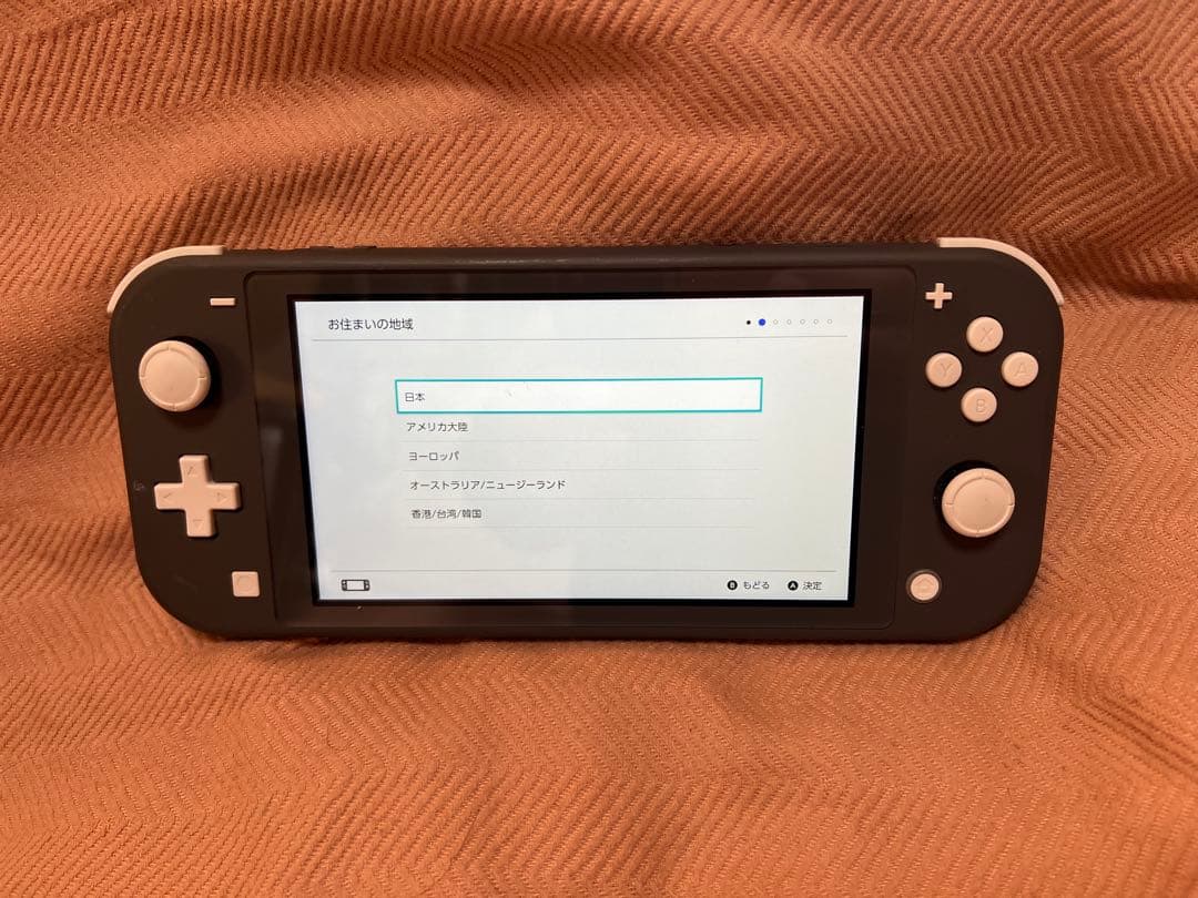 Nintendo Switch Lite ニンテンドースイッチライト　グレー
