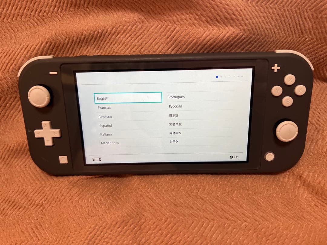 Nintendo Switch Lite ニンテンドースイッチライト　グレー