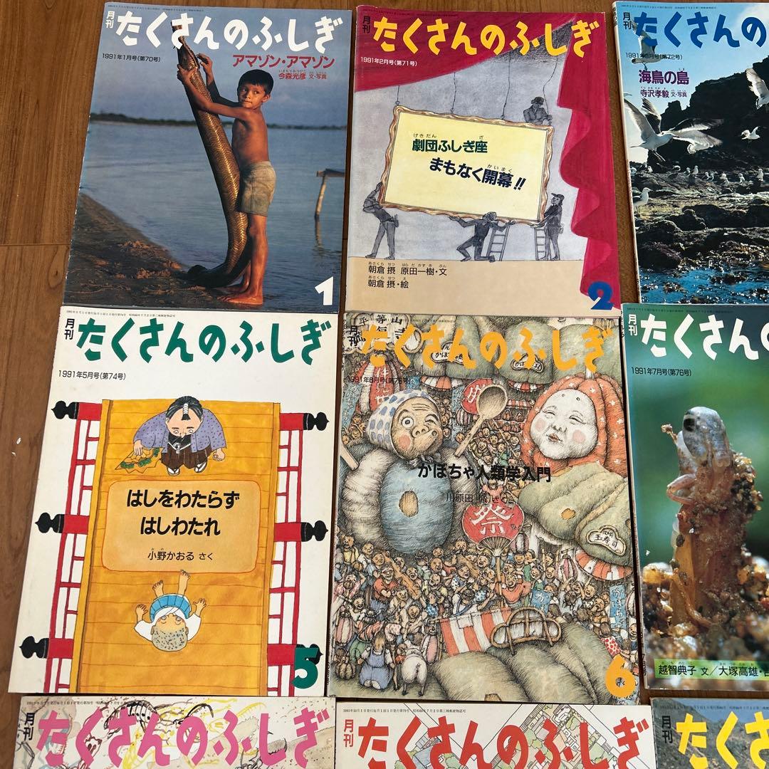 たくさんのふしぎ 1991年 12冊〔1月-12月〕 たくさんのふしぎ