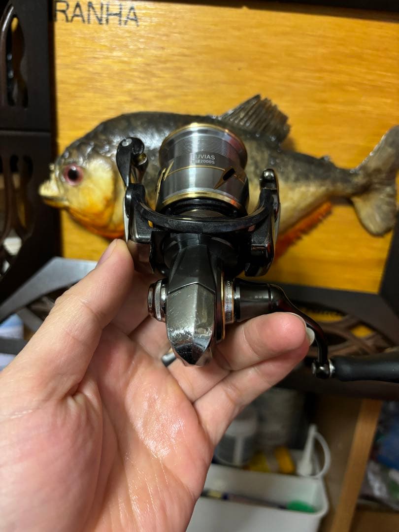 ダイワ エクセラー スピニングリール20ダイワluvias lt2000s