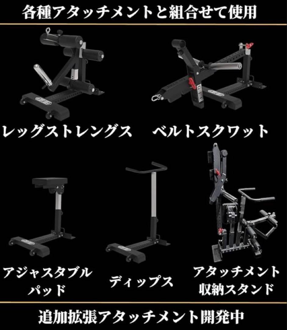 【引取限定】GFC ペックフライ&ラテラルレイズ　ベースセット売り