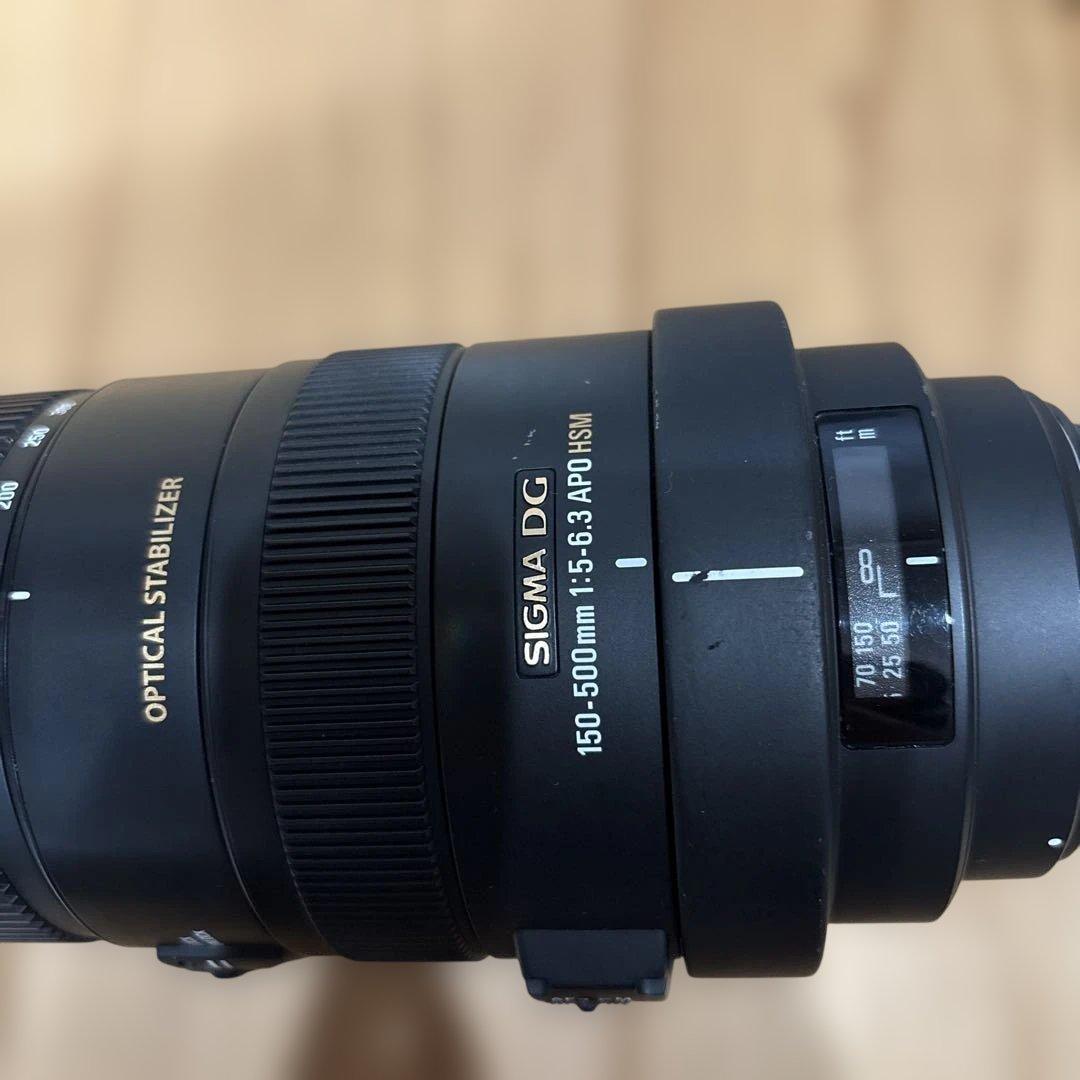 美品Canon SIGMA 150-500mm F5-6.3 APO DG OS