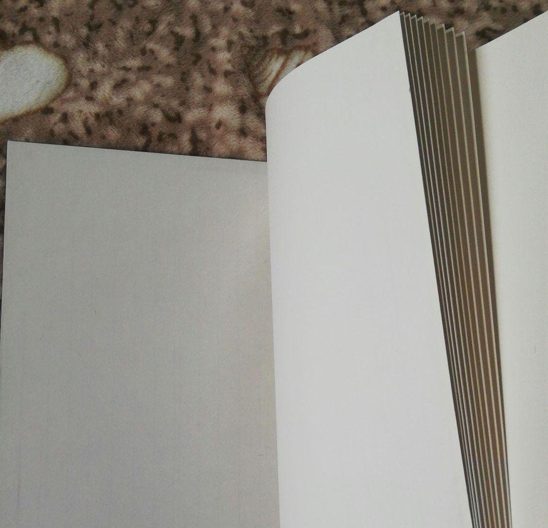 大)旧蔵した書道、水墨画用1980年代栄宝斎販売した紅星画仙紙