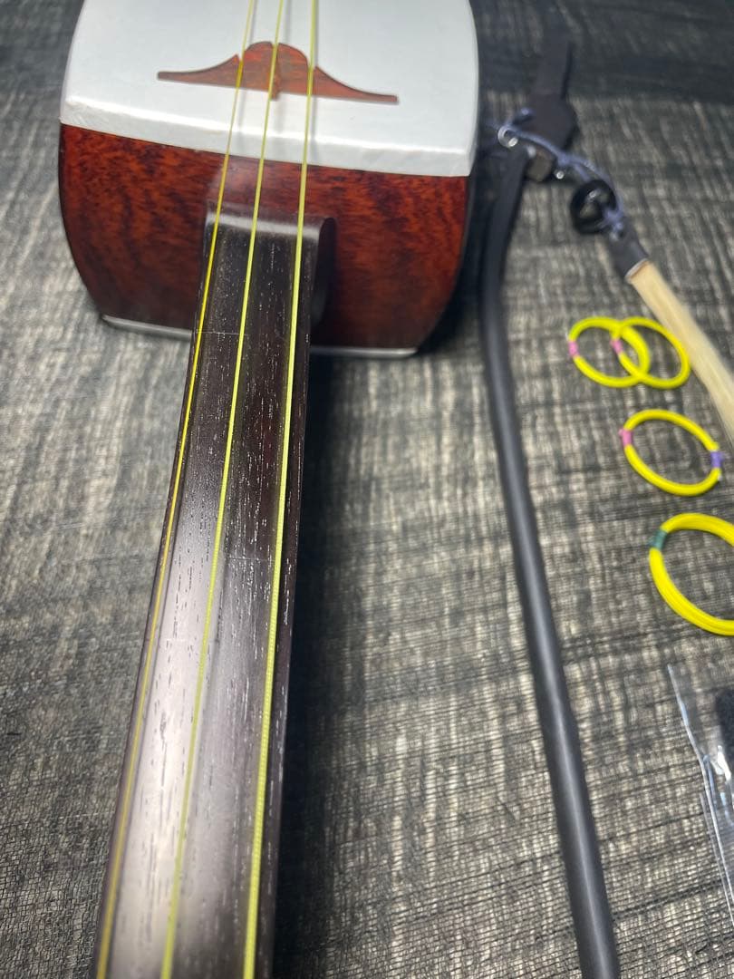 和胡弓紫檀材，胴かりん，弓，付属品付き