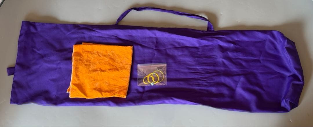 三味線　動物皮　良コンディション　堅牢トランクケース付　フルセット