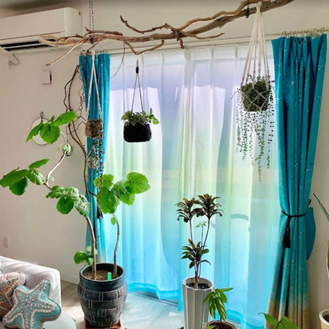 びっくりカーテン3色グラデーション＜レースグラッドソウ＞ - メルカリ