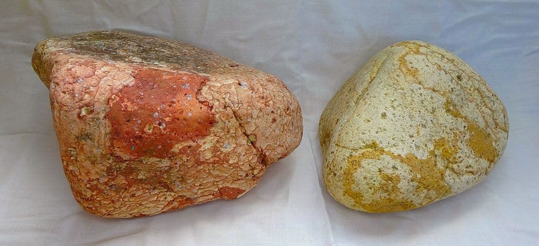 家宝級!!長良川薬石赤虎(1)