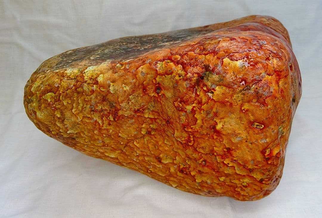 家宝級!!長良川薬石赤虎(1)