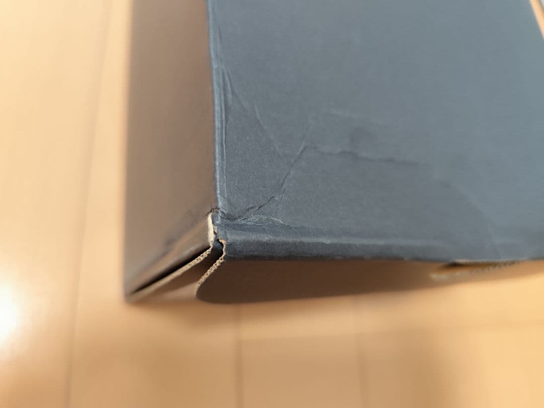 Mizuno MORELIA SALA JAPAN TF【26.5cm】