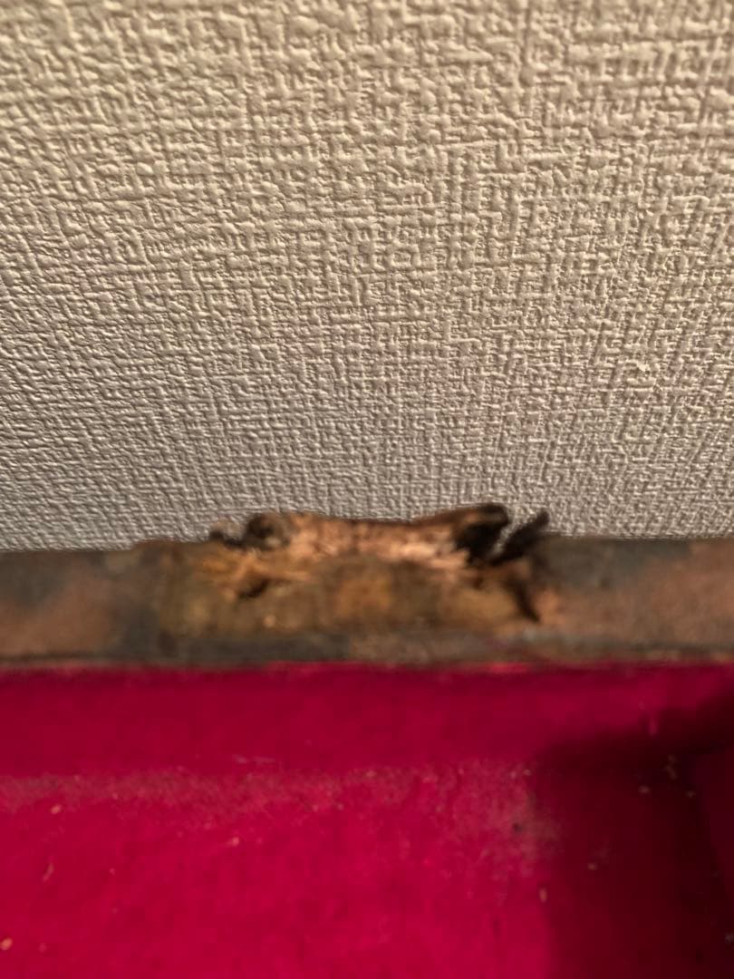 リペア必須！味のある革張り宝箱風アンティークトランク