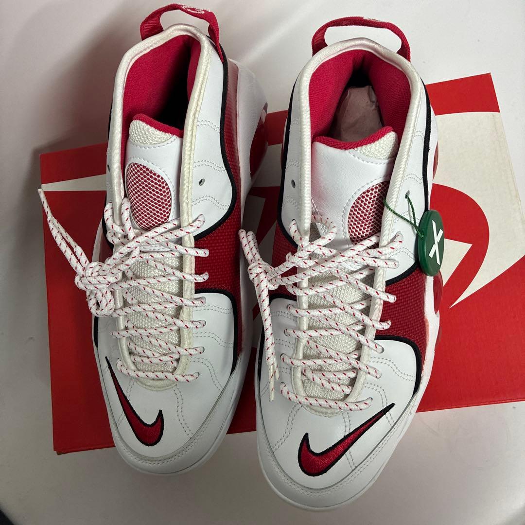 ◾️必見◾️ NIKE エアズームフライト95 未使用